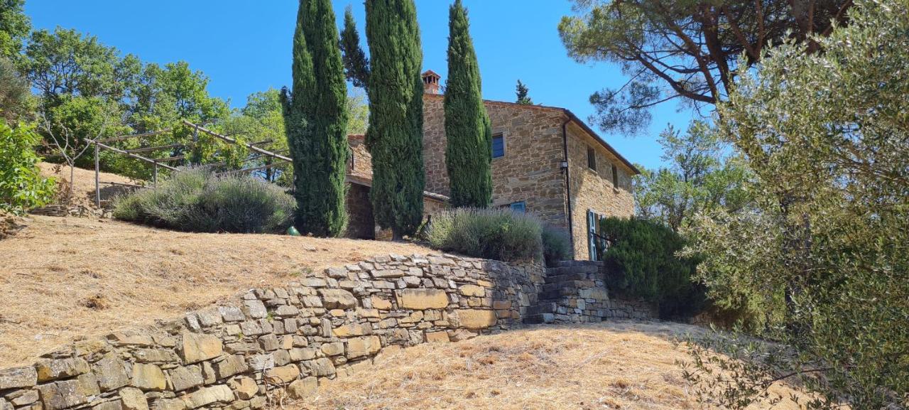 Coppa Di Sopra - Beautiful Villa With Superb View Santa Cristina  Exteriér fotografie