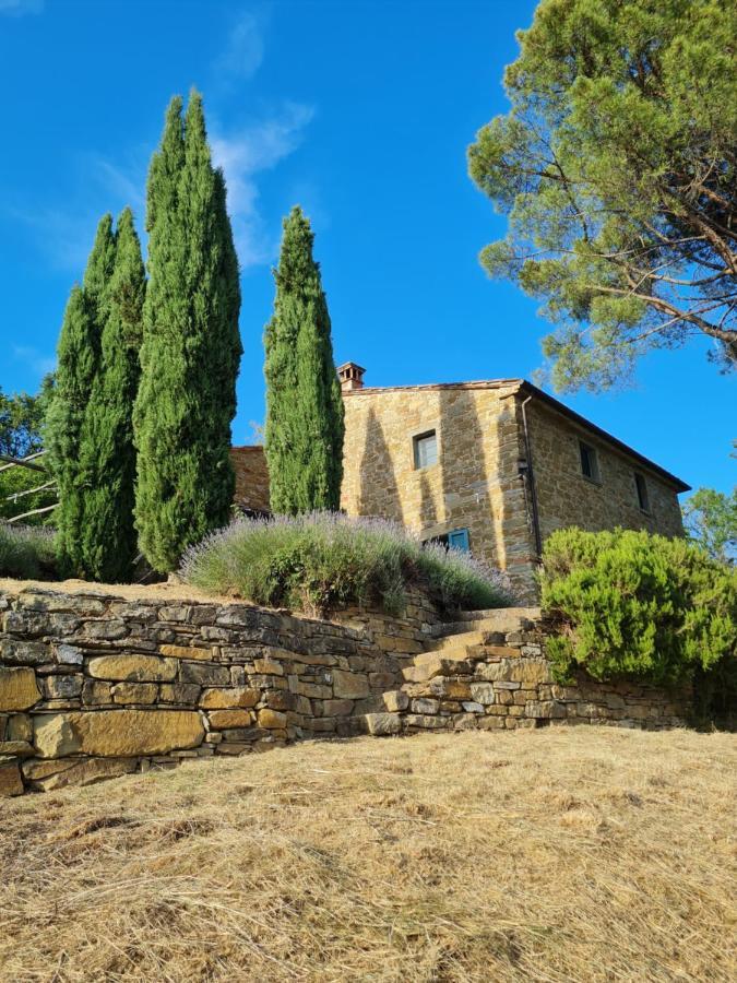Coppa Di Sopra - Beautiful Villa With Superb View Santa Cristina  Exteriér fotografie